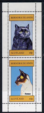 Bernera 1981 Cats (British Black & Siamese) perf,set of 2 values (40p & 60p) unmounted mint
