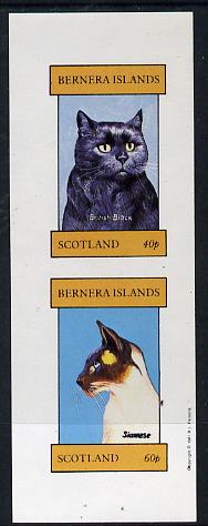 Bernera 1981 Cats (British Black & Siamese) imperf,set of 2 values (40p & 60p) unmounted mint