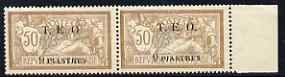 Syria 1919 9p on 50c horiz pair unmounted mint , SG9 cat £140