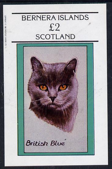Bernera 1982 Cats (British Blue) imperf deluxe sheet (Â£2 value) unmounted mint