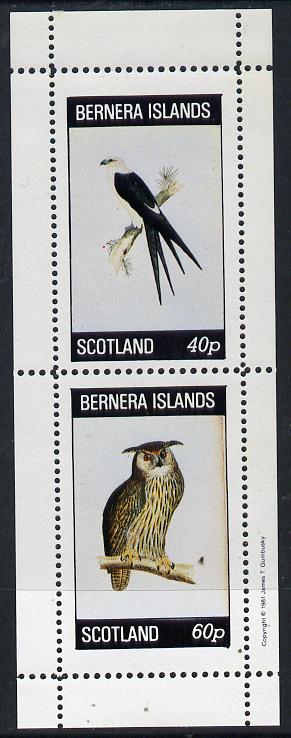 Bernera 1982 Birds of Prey perf,set of 2 values (40p & 60p) unmounted mint