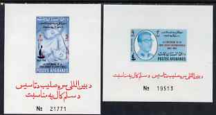 Afghanistan 1963 Red Cross set of 2 imperforate miniature sheets, unmounted mint