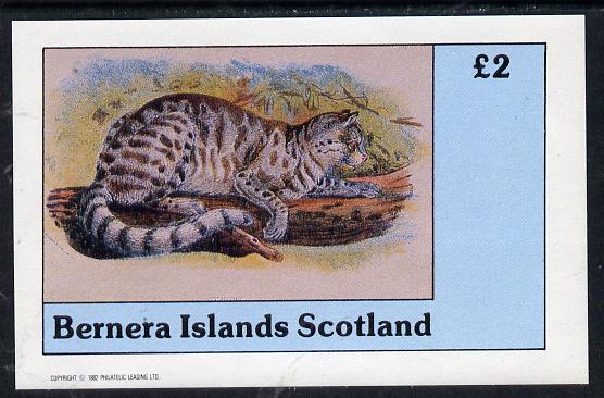 Bernera 1982 Wild Cats imperf deluxe sheet (£2 value) unmounted mint