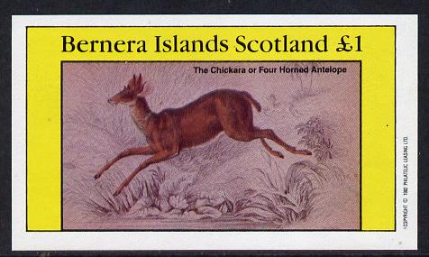 Bernera 1982 Animals (Four Horned Antelope) imperf souvenir sheet (Â£1 value) unmounted mint