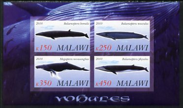 Malawi 2010 Whales imperf sheetlet containing 4 values unmounted mint