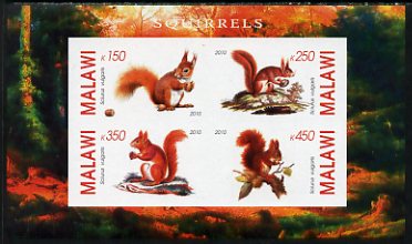 Malawi 2010 Squirrels imperf sheetlet containing 4 values unmounted mint