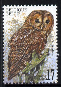 Belgium 1999 Tawny Owl (Strix aluco) 17f unmounted mint SG 3479