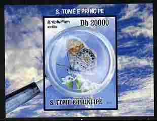St Thomas & Prince Islands 2010 Butterflies #1 individual imperf deluxe sheetlet unmounted mint. Note this item is privately produced and is offered purely on its thematic appeal 