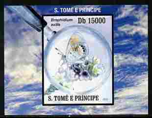 St Thomas & Prince Islands 2010 Butterflies #6 individual imperf deluxe sheetlet unmounted mint. Note this item is privately produced and is offered purely on its thematic appeal 