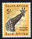 South Africa 1954 Giraffe 5s (from def set) unmounted mint, SG 163