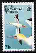 British Indian Ocean Territory 1990 Birds 71p Red-footed Booby unmounted mint SG 99