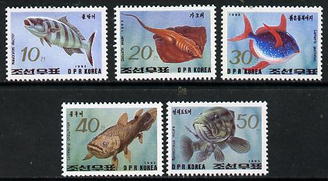 North Korea 1993 Fish perf set of 5 unmounted mint*
