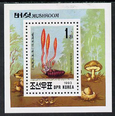 North Korea 1993 Fungi m/sheet (1wn value) unmounted mint