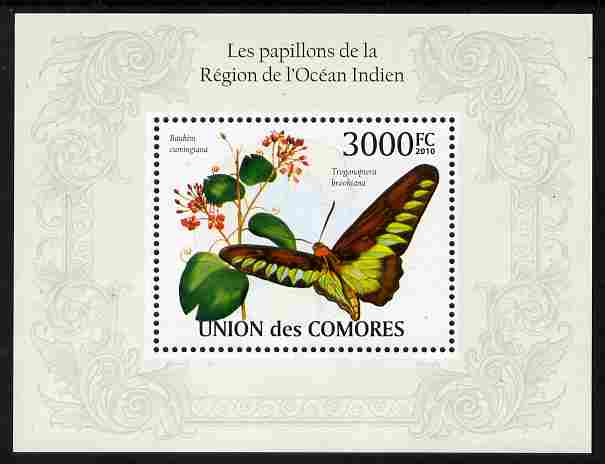 Comoro Islands 2009 Butterflies from Indian Ocean Region perf m/sheet unmounted mint, Michel BL 569