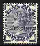 GB Great Britain 1883-84 QV 1/2d slate-blue overprinted SPECIMEN type 9 mounted mint SG 187s
