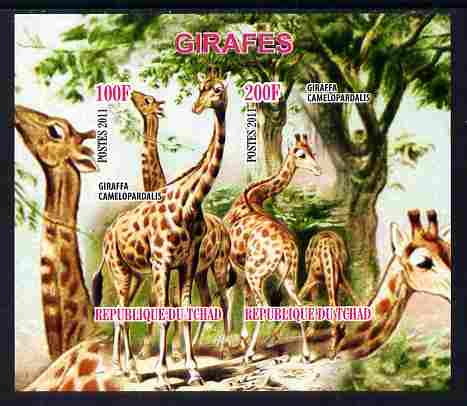Chad 2011 Giraffes imperf sheetlet containing 2 values unmounted mint