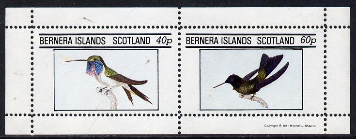 Bernera 1981 Birds #03 (Humming Birds) perf,set of 2 values (40p & 60p) unmounted mint