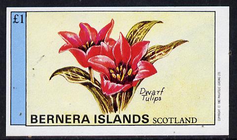 Bernera 1982 Flowers #03 (Dwarf Tulips) imperf souvenir sheet (Â£1 value) unmounted mint