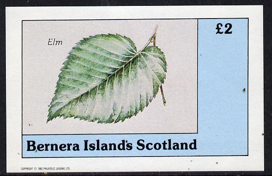 Bernera 1982 Tree Leaves (Elm) imperf deluxe sheet (Â£2 value) unmounted mint