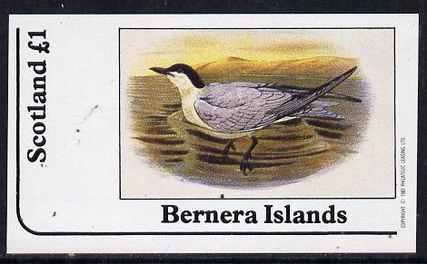 Bernera 1982 Birds #11 (Tern) imperf souvenir sheet (£1 value) unmounted mint