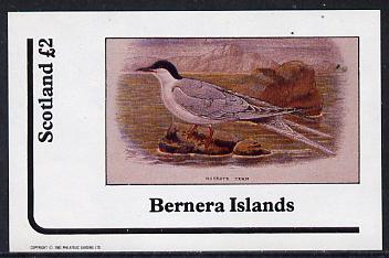 Bernera 1982 Birds #11 (Roseate Tern) imperf deluxe sheet (Â£2 value) unmounted mint