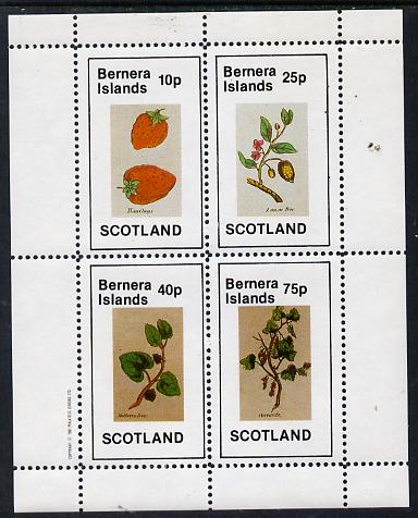 Bernera 1982 Fruit (Hautboys, Lemon Tree, Mulberry Tree & Currants) perf,set of 4 values (10p to 75p) unmounted mint